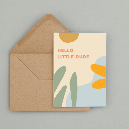 Hello Little Dude